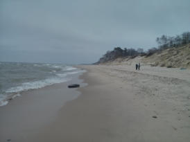 Die Kurische Nehrung: Ostseeseite