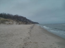 Kurische Nehrung, Ostseeseite