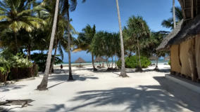 Strand auf Sansibar. Im Hintergrund der Indische Ozean