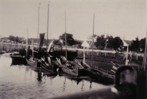 Schaaksvitte Kurenkhne im Hafen